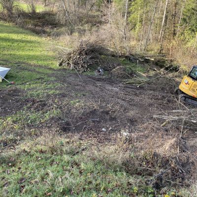 Umweltbewusstes Projekt