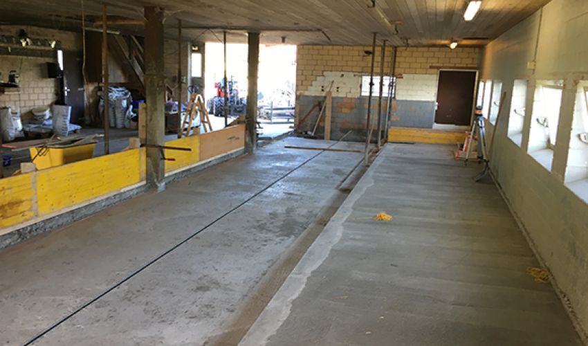 Liegenschaft Renovation