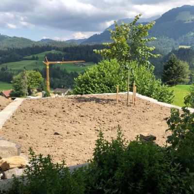Umgebung mit Erde