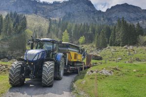 Alpgenossenschaft Meggen