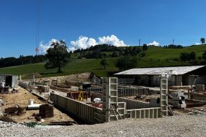 Ambühl Armin Stallrückbau